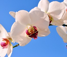 宜宾正规助孕捐卵机构，附正规捐卵机构报名表！